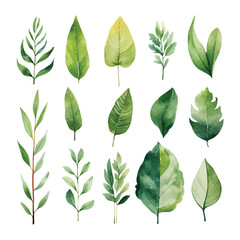 set of green leaves