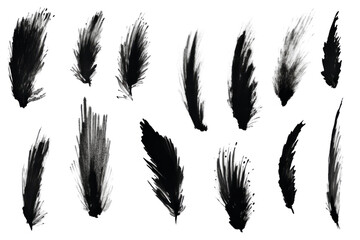 Collection of black hand paint watercolor brush strokes, black brush white background