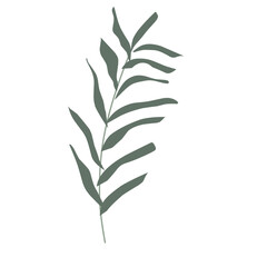 Fototapeta premium Spring flower, aesthetic leaves 