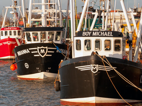 SOUTHEND-ON-SEA, ESSEX, UK - JANUARY 16, 2011:  View of inshore fishing boats tied up on Quay at Old Leigh