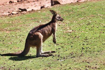 Hobart, Australia