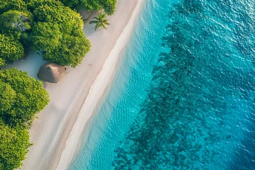 Crédence de cuisine en verre imprimé Bora Bora, Polynésie française Aerial of Tropical Beach and Palm Trees 