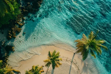 Photo sur Plexiglas Bora Bora, Polynésie française Aerial of Tropical Beach and Palm Trees 