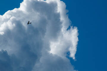 airplane flying in the sky
