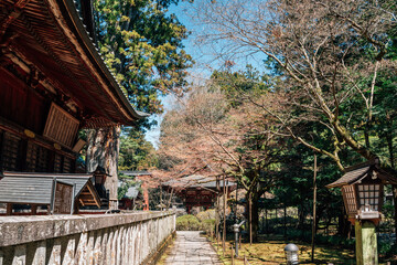 Fototapeta na wymiar Fujiyoshida Kitaguchi Hongu Fuji Sengen Shrine near Fuji Mountain in Yamanashi, Japan