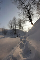 winter atmospheric landscape with a trail in deep snow