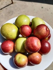 Fruit of the Ziziphus mauritiana, or fruit of Indian jujube,Indian plum,Chinese date,Chinese apple,ber fruit,dunks