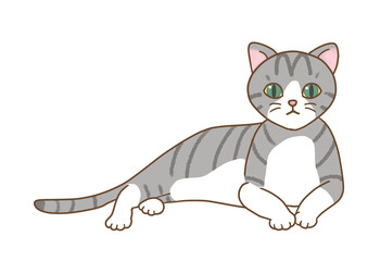 The gray and black stripes on a white background cat is in a relaxed position, raising his upper body and staring straight at the front.