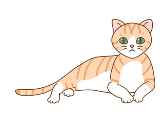 The two-colored cat with brown stripes with green eyes cat is in a relaxed position, raising his upper body and staring straight at the front.