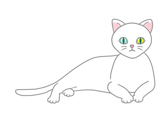 The odd-eyed white cat is in a relaxed position, raising his upper body and staring straight at the front.