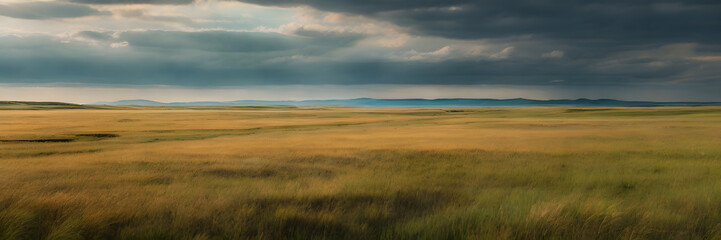 Guided Horizon: Expansive Grassland Leading to Distant Sky. 3:1 Banners and Landscape Backgrounds, Perfect for Expansive Visual Themes