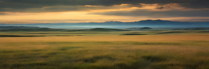 Obraz premium Guided Horizon: Expansive Grassland Leading to Distant Sky. 3:1 Banners and Landscape Backgrounds, Perfect for Expansive Visual Themes