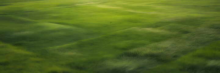 Aerial Serenity: Vast Green Meadow from Above. 3:1 Banners and Nature-themed Backgrounds, Perfect for Showcasing Aerial Perspectives