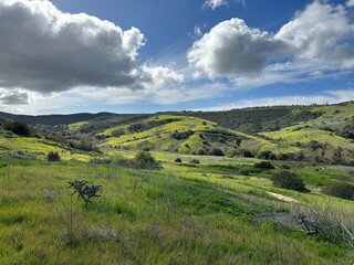 Fototapeta premium Shady Canyon Irvine California after rain 
