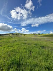 Shady Canyon Irvine California after rain 