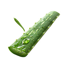 Aloe vera isolated on transparent png.