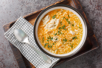 Homemade puree soup with pastina, chicken, vegetables and cheese close-up in a bowl on a wooden...