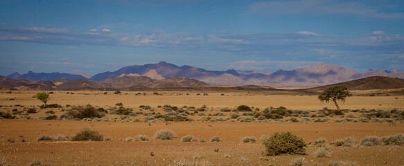 Namib desert