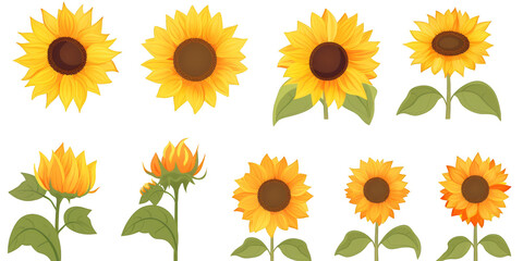 flat art collection of sunflowers isolated on a white background as transparent PNG