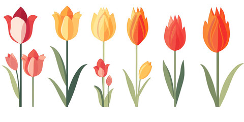 flat art collection of tulips isolated on a white background as transparent PNG