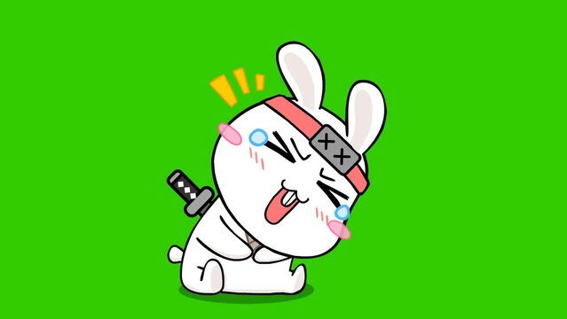 laugh animation white rabbit ninja on green screen