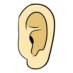ear illustration hand drawn isolated vector