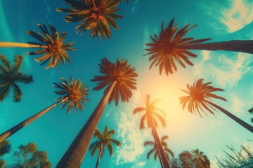 Fototapeta na wymiar Tropical Paradise, Sunlit Palm Trees, A Sky Full of Green Leaves, The Blue and Yellow Sky.