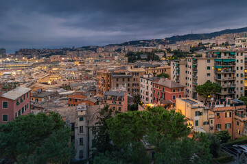 Fototapeta na wymiar Panoramic cityscape with illuminated residential district on hillside under cloudy sky, Genoa, Italy