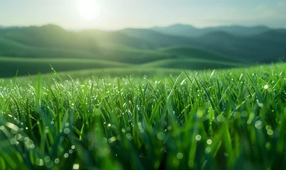 Gardinen green grass field-generative ai © siwoo-mint