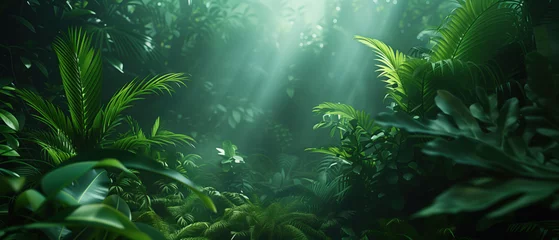 Fotobehang Sunbeams filtering through dense tropical foliage. © SERHII