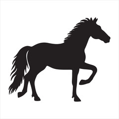 Horses silhouette vector illustration,Horse silhouettes