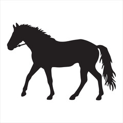 Obraz na płótnie Canvas Horses silhouette vector illustration,Horse silhouettes