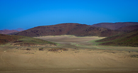 Fototapeta na wymiar Green Namb desert