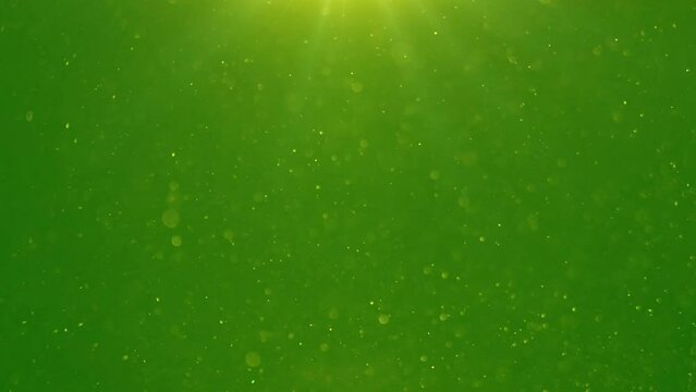 green screen background dust particles