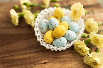 Yellow flowers and pastel yellow and blue colored eggs in a white small wicker basket on a background of brown wood. Layout. Mockups. Pastel Springs background. Easter background. Easter eggs close up