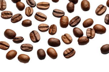 A Pile of Coffee Beans. A cluster of coffee beans neatly arranged on a clean, white surface. The beans are varying shades of brown with an aromatic presence. on White or PNG Transparent Background.