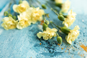Fototapeta na wymiar Yellow beautiful flowers on a blue art background close up. Mockups. Layout. Spring pastel background. Mothers day background. 