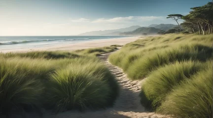 Fotobehang Grijs Grass lands landscape leading to beach side from Generative AI