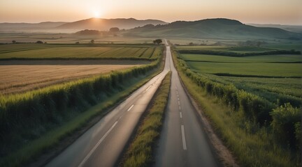 Road in the middle of farm lands at sunset from Generative AI