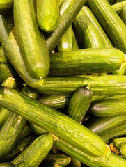 cucumbers on the market