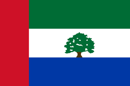Flag of The Federal Region of Hadramout (Republic of Yemen)