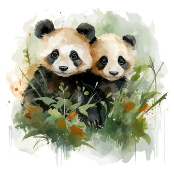 Watercolor clipart of Two happy baby pandas, isolated on a white background, Illustration Vector & Drawing Painting.