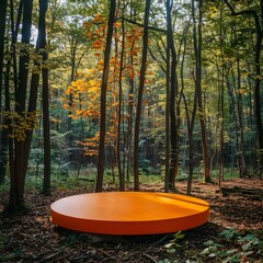 A sunny orange podium in a deciduous forest bringing a cheerful pop of color that contrasts with the greenery and browns of the woods