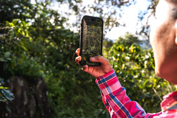 People using phone taking picture of coffee tree in coffee farm