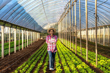 Asian famer woman standing in organic lettuce salad plant greenhouse