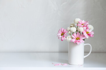 white and pink  chrysanthemums in vintage cup on white background