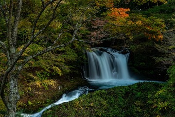 紅葉に囲まれた流れ落ちる滝