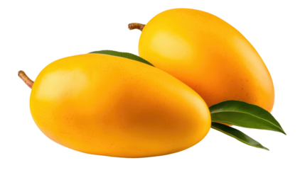 Two Yellow Mangos With Green Leaves. Two ripe yellow mangos, complete with vibrant green leaves, rest on a clean white background. The contrasting colors create a visually striking image.