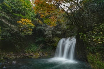 紅葉と滝