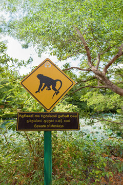 A Signpost Warning Of Monkeys, Sri Lanka.